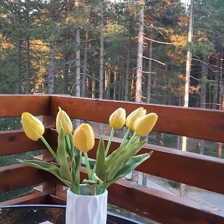 Prima Zlatibor
