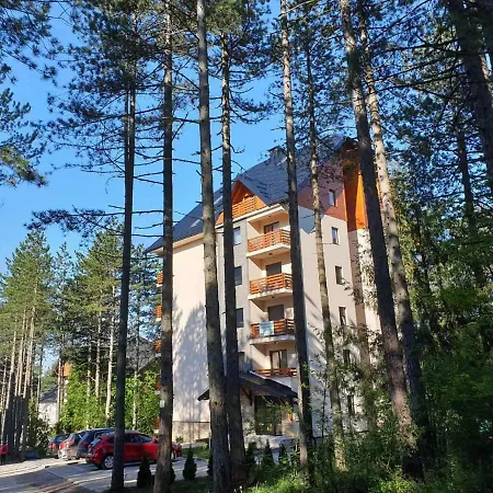 Prima Apartment *